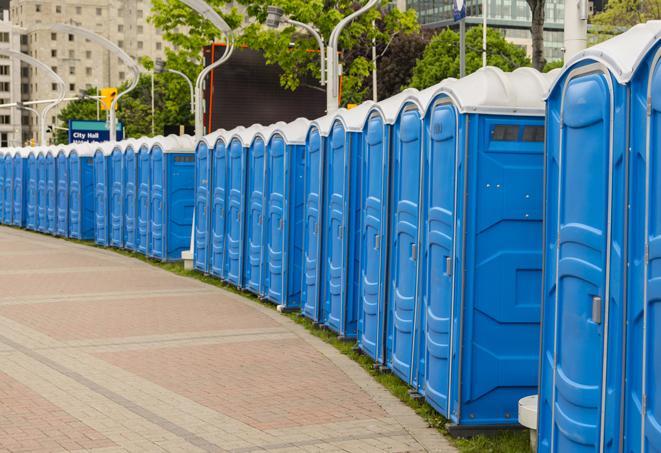 a row of portable restrooms for a special event, ensuring guests have access to clean facilities in Big Bear Lake